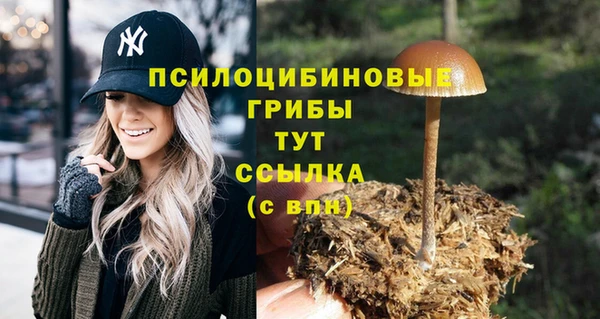 2c-b Армянск
