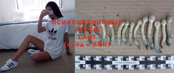 тгк Арсеньев